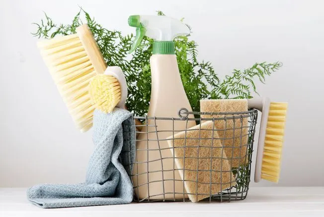 téléchargement (6)